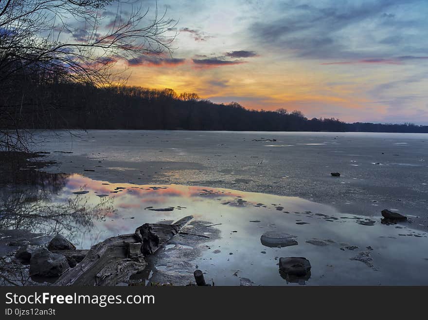 Green Tree Line Near Body of Water at Golden Hours