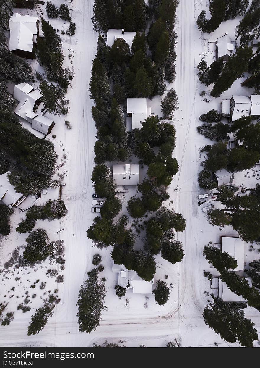 Areal Photography of Snow Covered Houses Surrounded by Green Trees