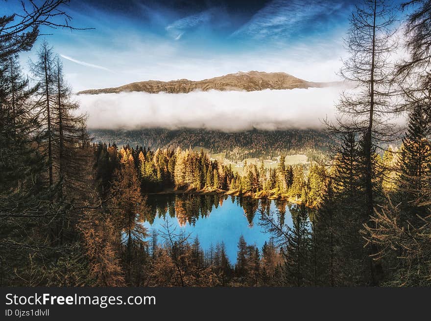 Pine Trees Beside Body of Water Near Mountain Under White Clouds