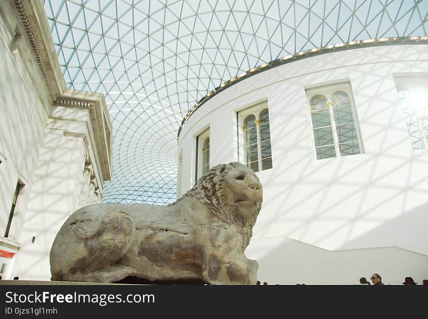 Gray Animal Statue Inside Building