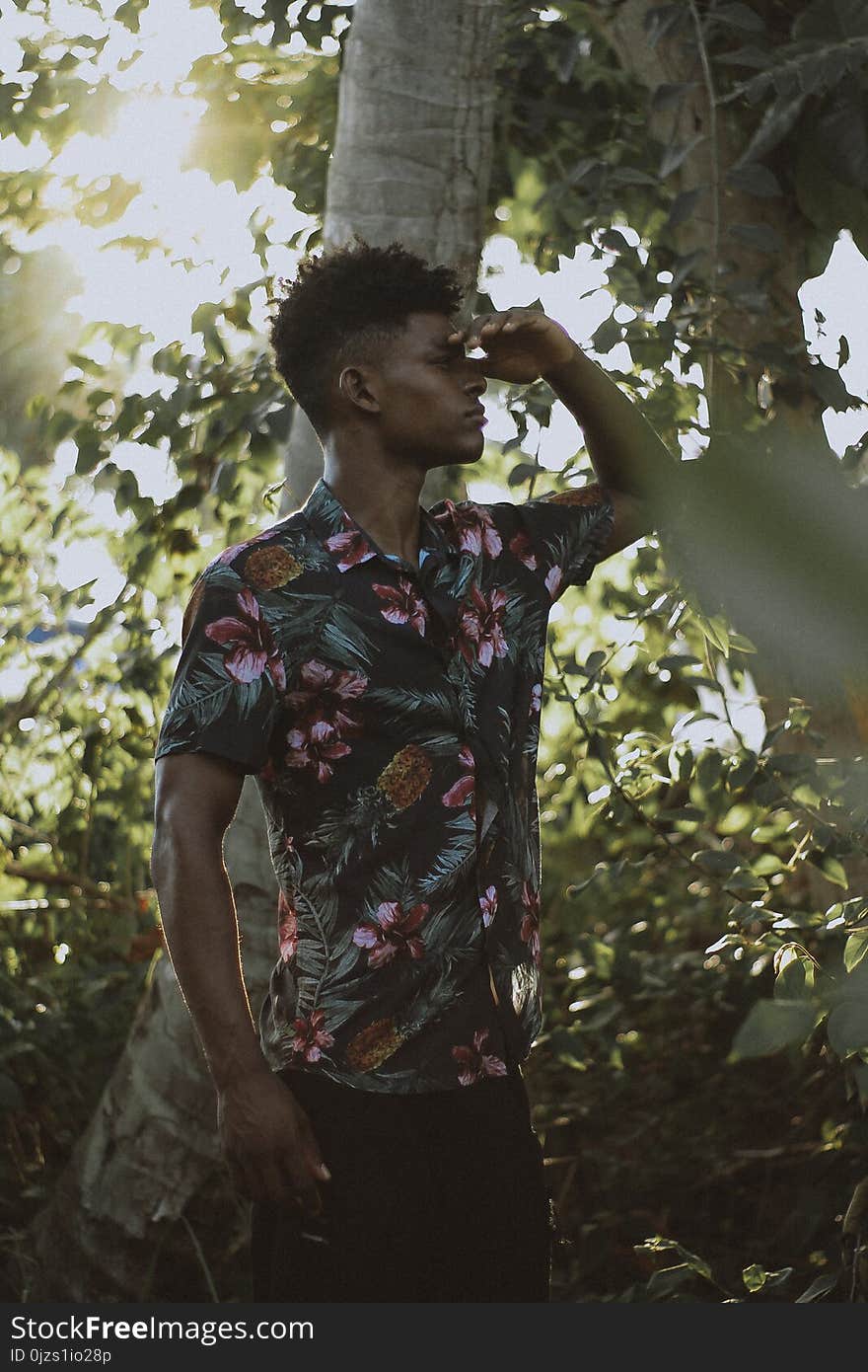 Man Wears Multicolored Floral Button-up Short-sleeved Shirt Beside Tree