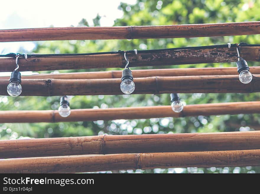 Shallow Focus Photography of Light Bulb Hanging on Brown Wooden Sticks