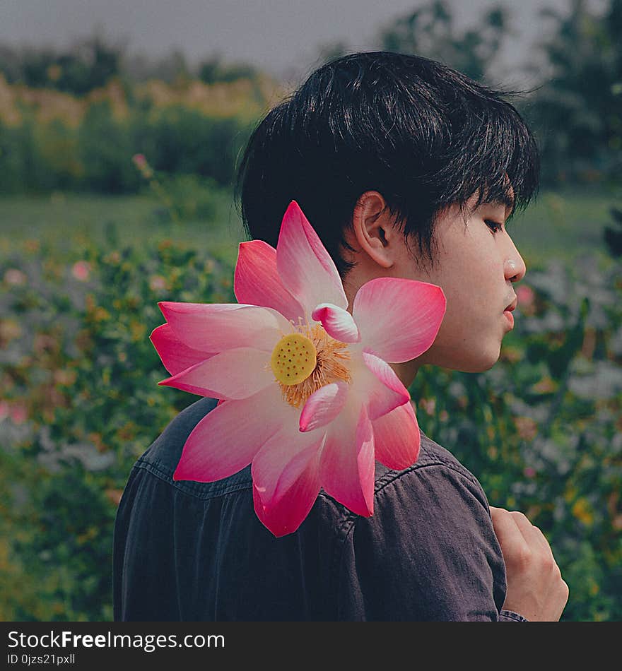 Man Wearing Black Top Holding Pink-and-white Petaled Flower