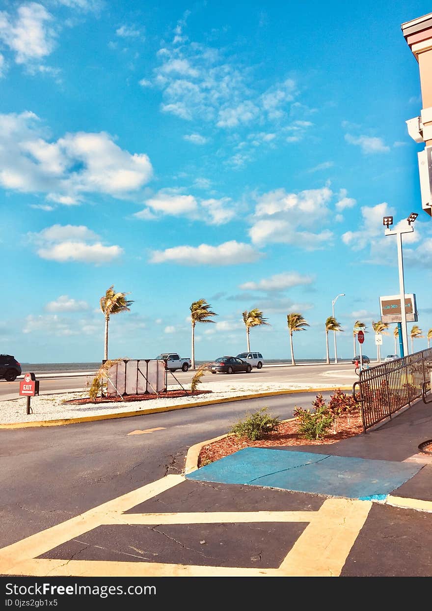 Cars on Road Near Light Post