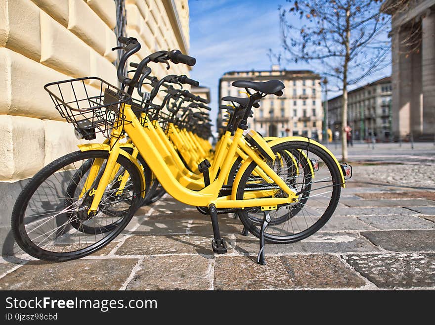 Bicycles in public use in the city.