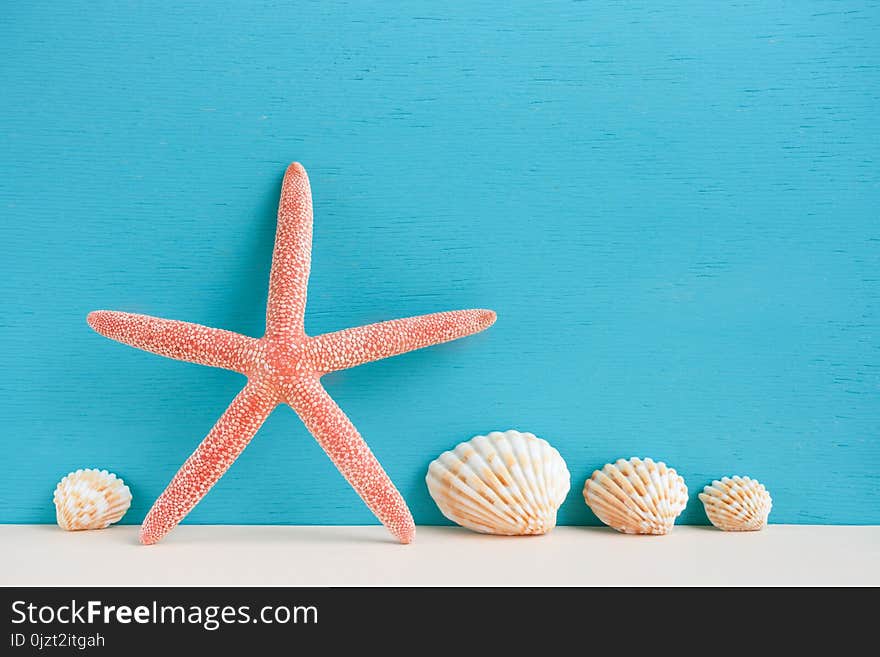 Red starfish and seashells standing on beige surface on turquoise background.