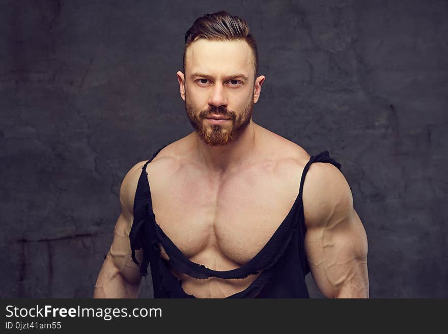 Shirtless bearded bodybuilder over grey background.