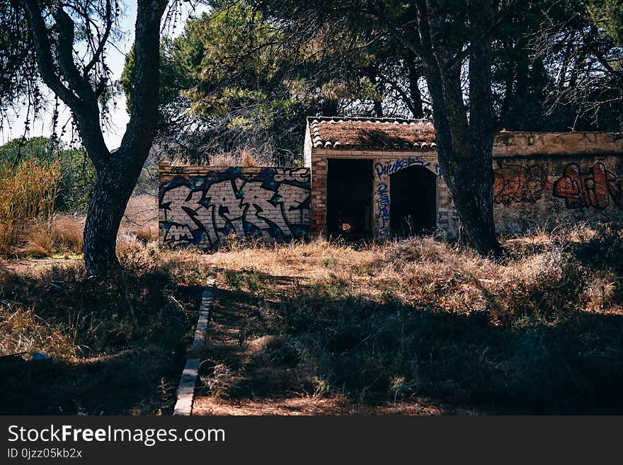 Tree, Ruins, Landscape, Grass