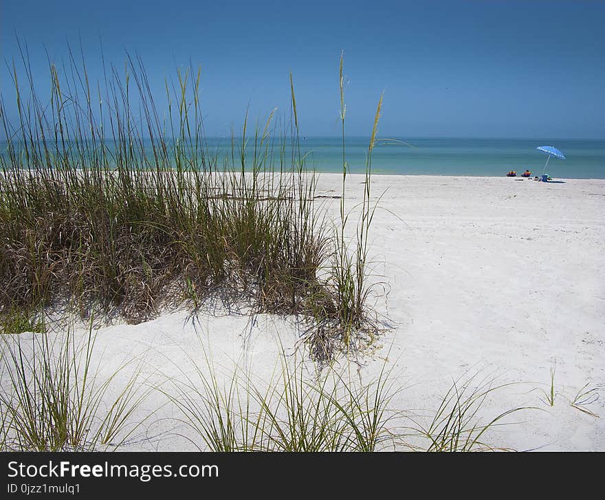 Sea, Beach, Body Of Water, Shore