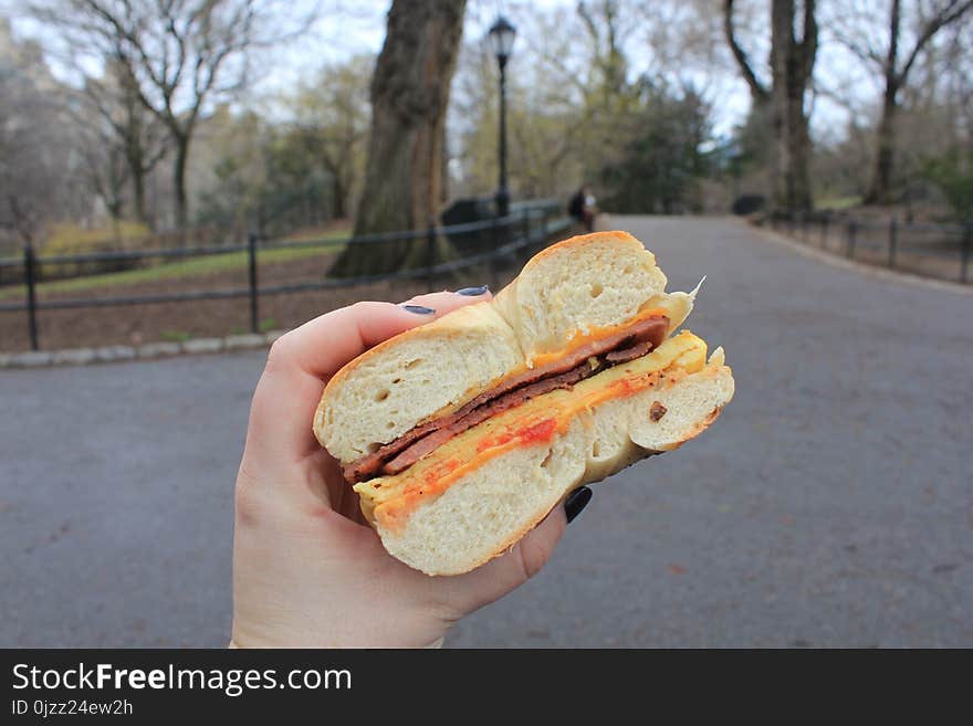 Breakfast Sandwich, Sandwich, Fast Food, Finger Food