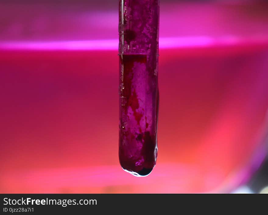 Magenta, Water, Macro Photography, Liquid