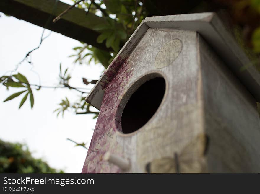 Birdhouse, Bird Feeder