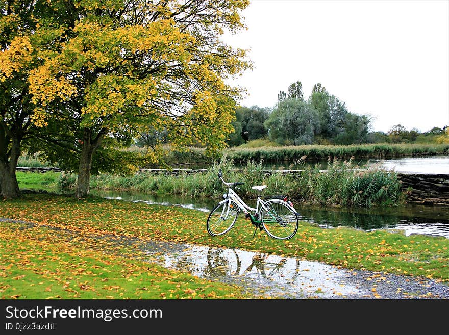 Road Bicycle, Nature, Bicycle, Yellow