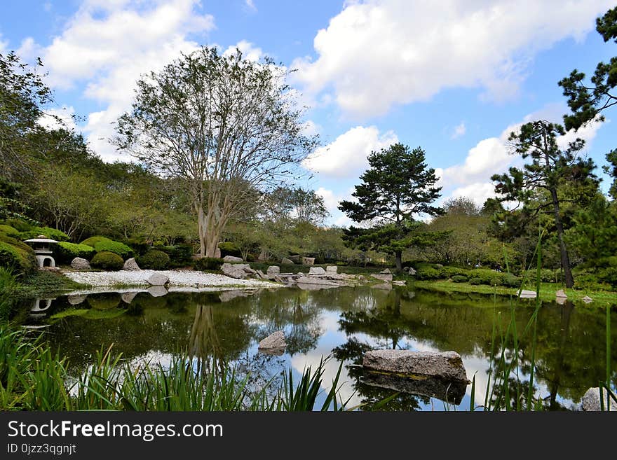 Reflection, Nature, Water, Nature Reserve