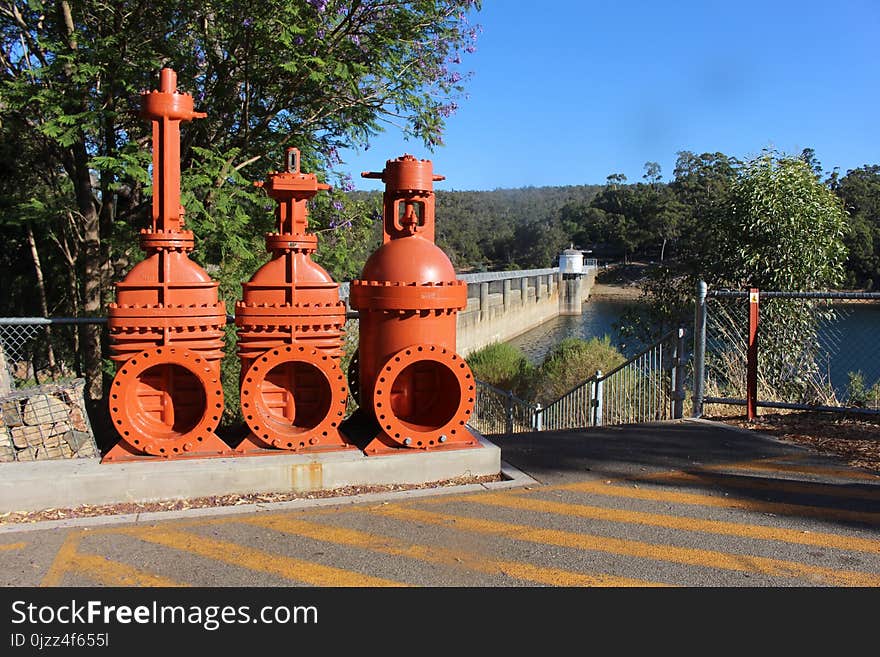 Water, Recreation, Leisure, Tree