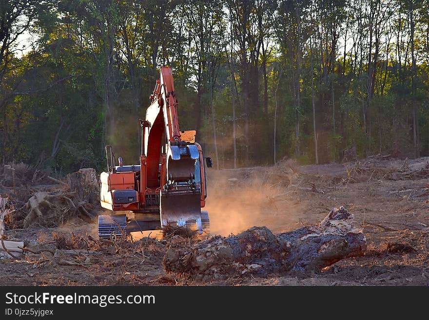 Tree, Soil, Forest, Vehicle