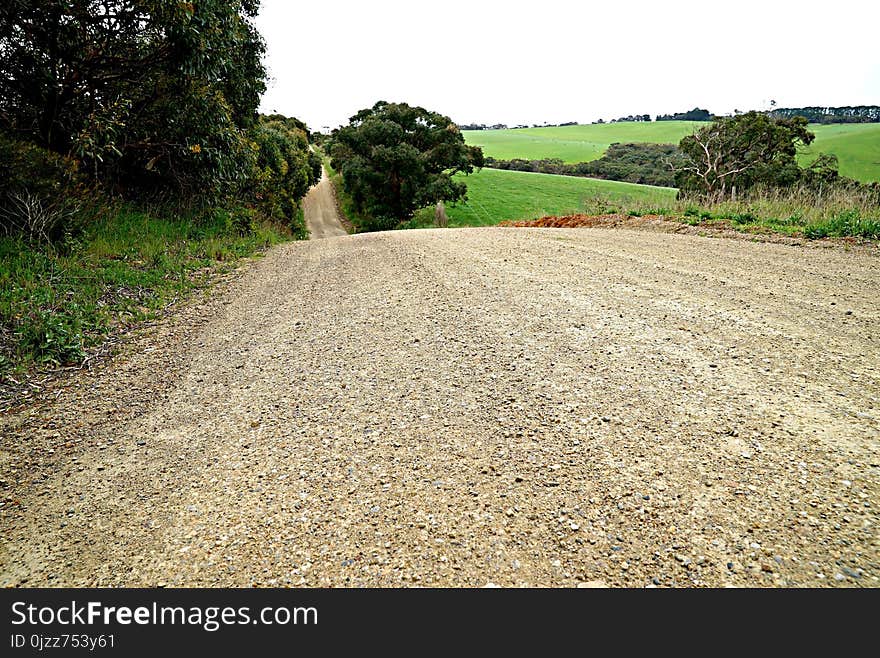 Road, Path, Soil, Field