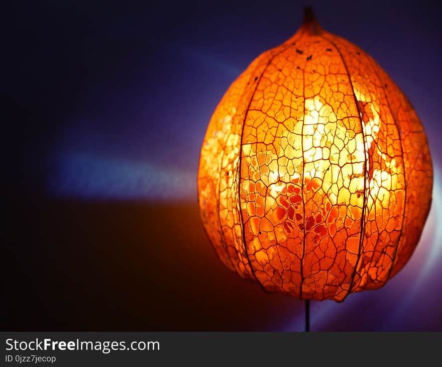 Lighting, Lighting Accessory, Lampshade, Cucurbita