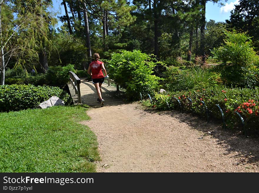 Plant, Path, Garden, Botanical Garden