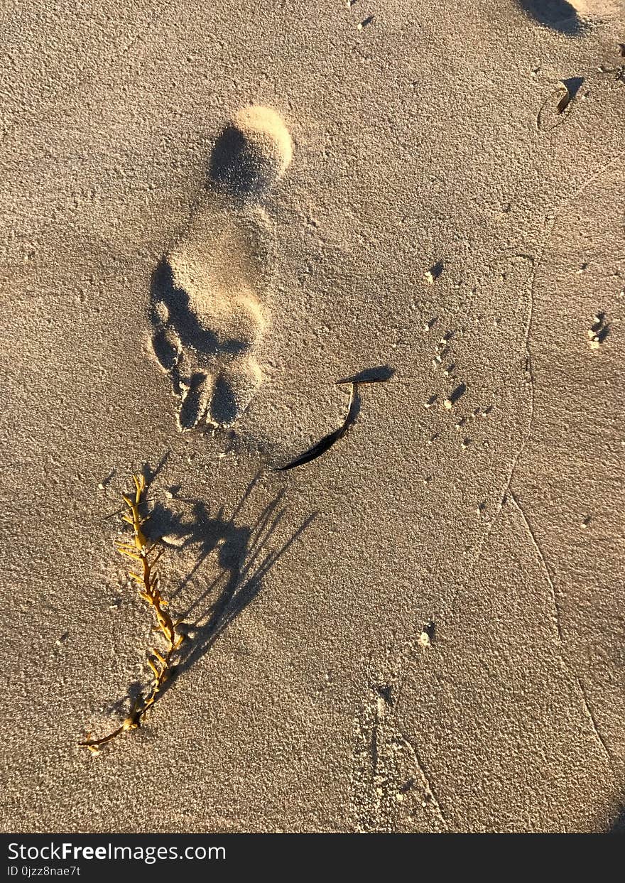 Sand, Footprint, Shadow, Geology