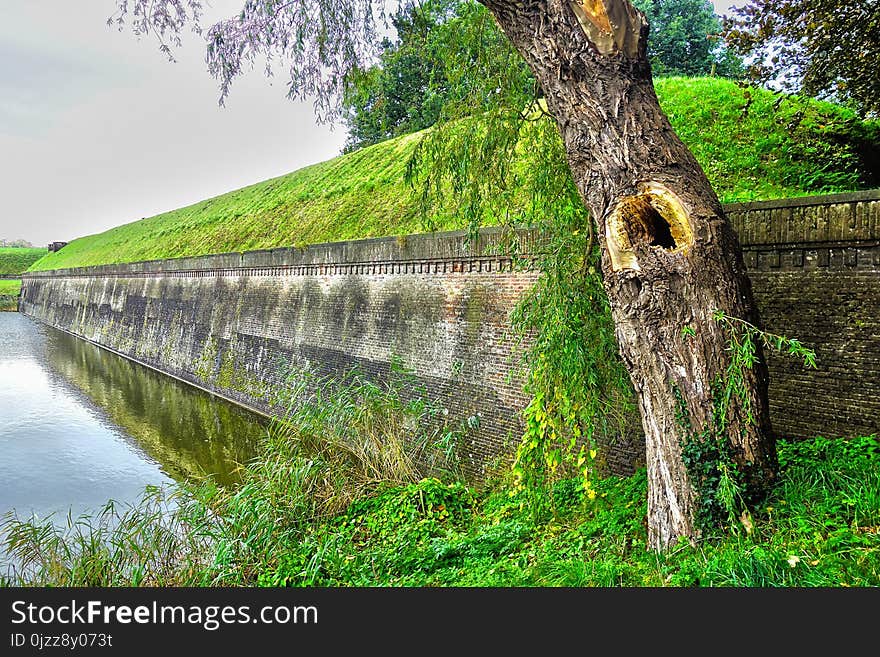 Water, Tree, Bridge, Bank