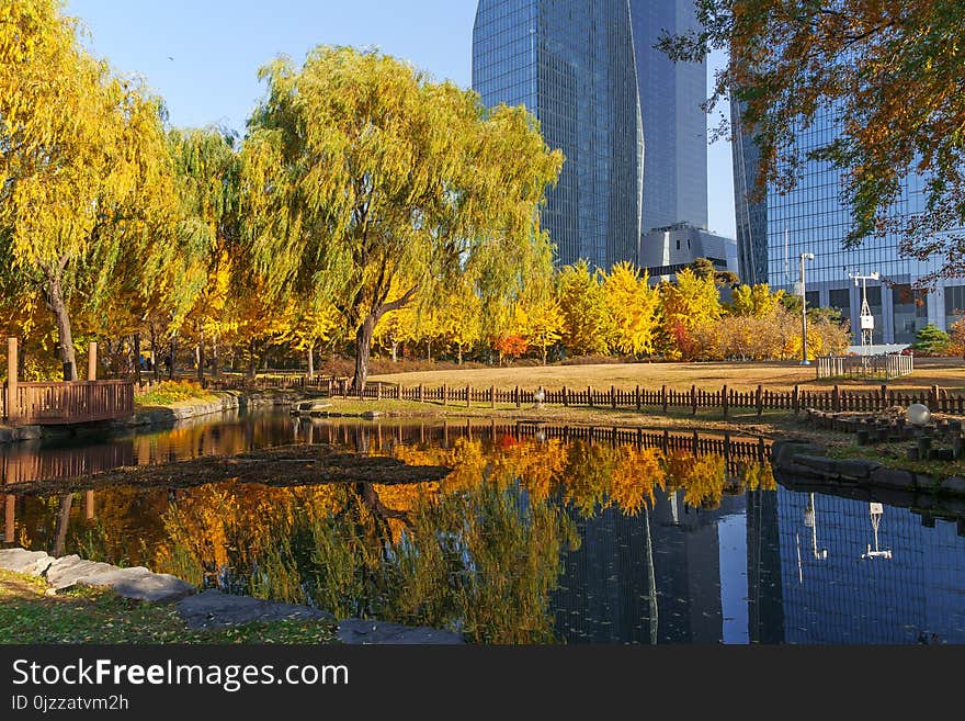 Reflection, Waterway, Nature, Water