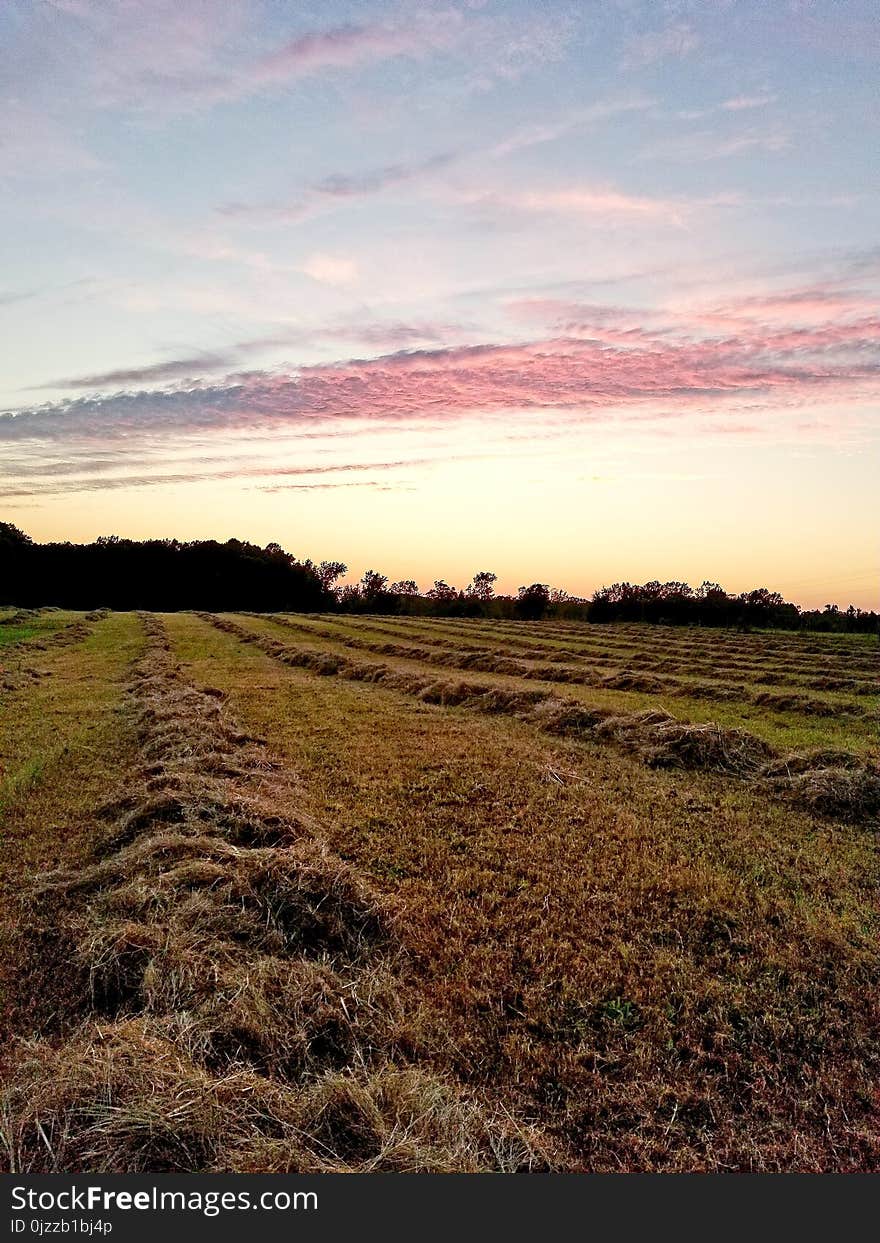 Sky, Field, Grassland, Prairie