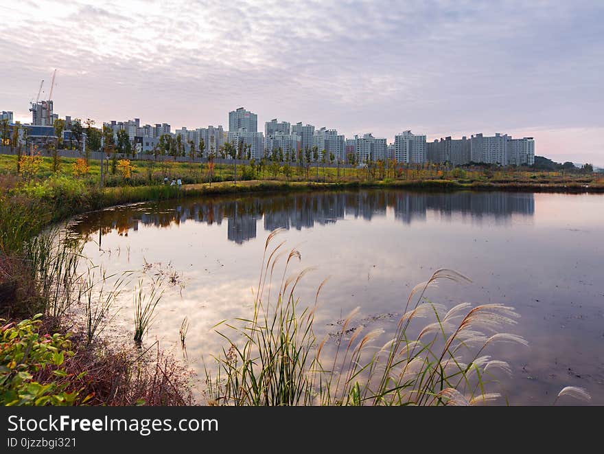 Reflection, Water, Wetland, Sky