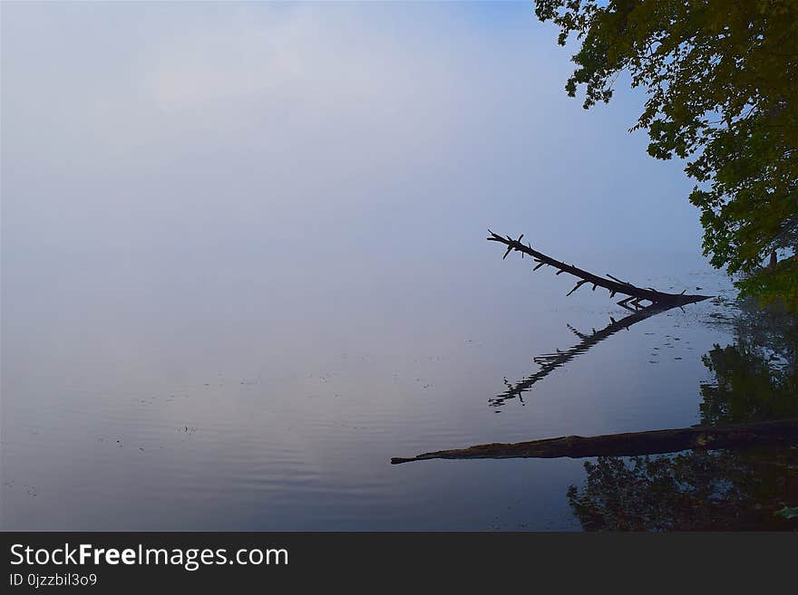 Sky, Water, Tree, River