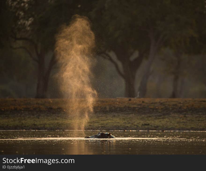 Water, Water Feature, Phenomenon, Water Resources