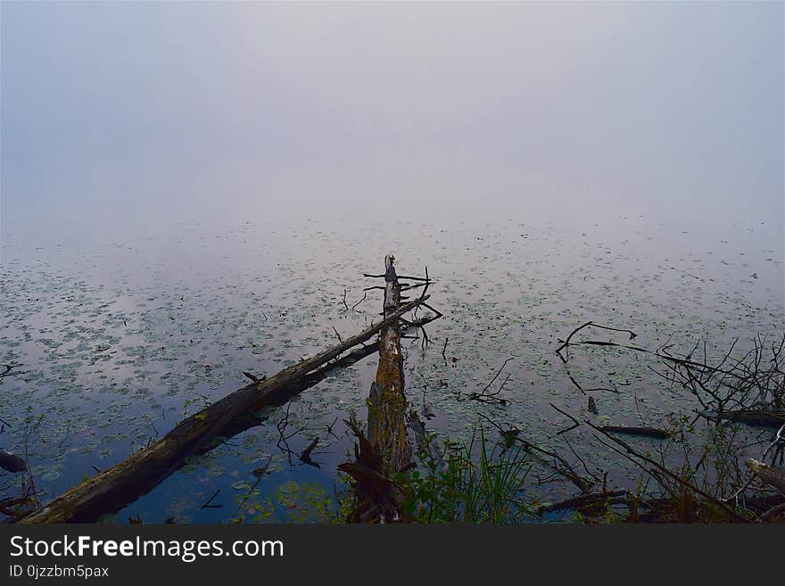 Fog, Sky, Water, Mist