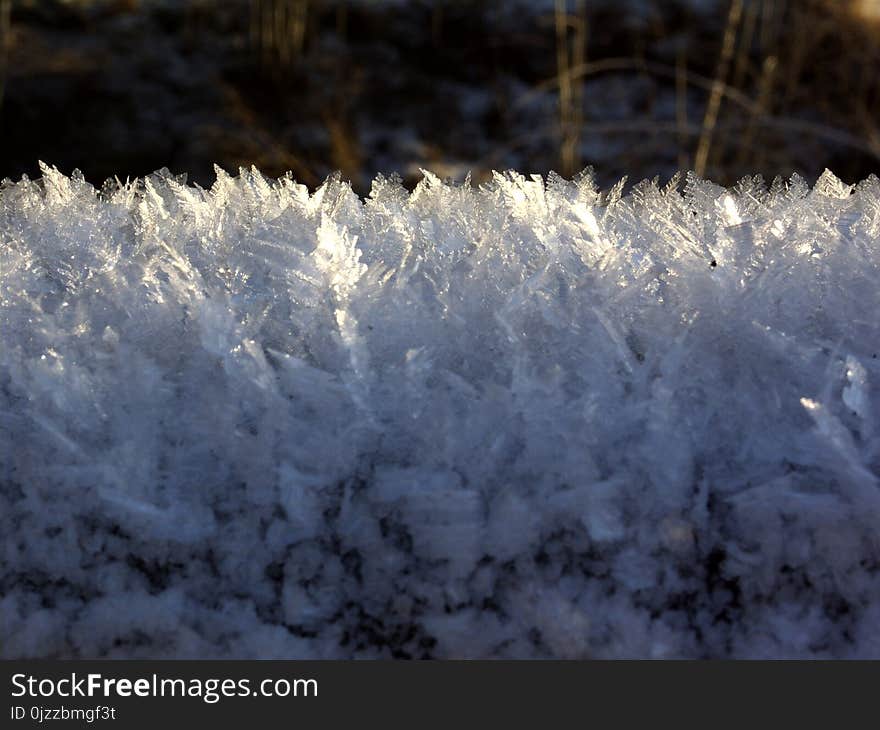 Frost, Freezing, Winter, Snow