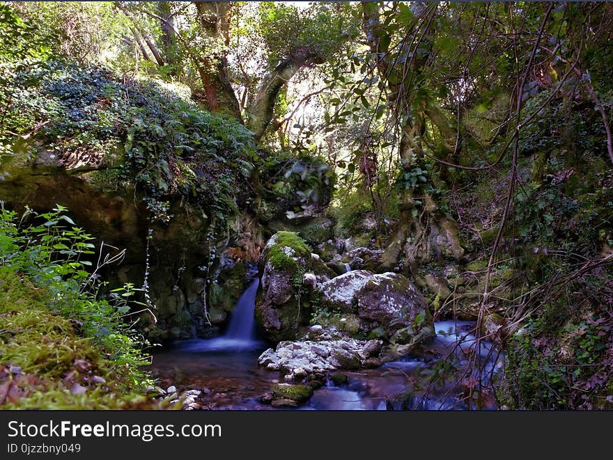 Water, Nature, Vegetation, Nature Reserve