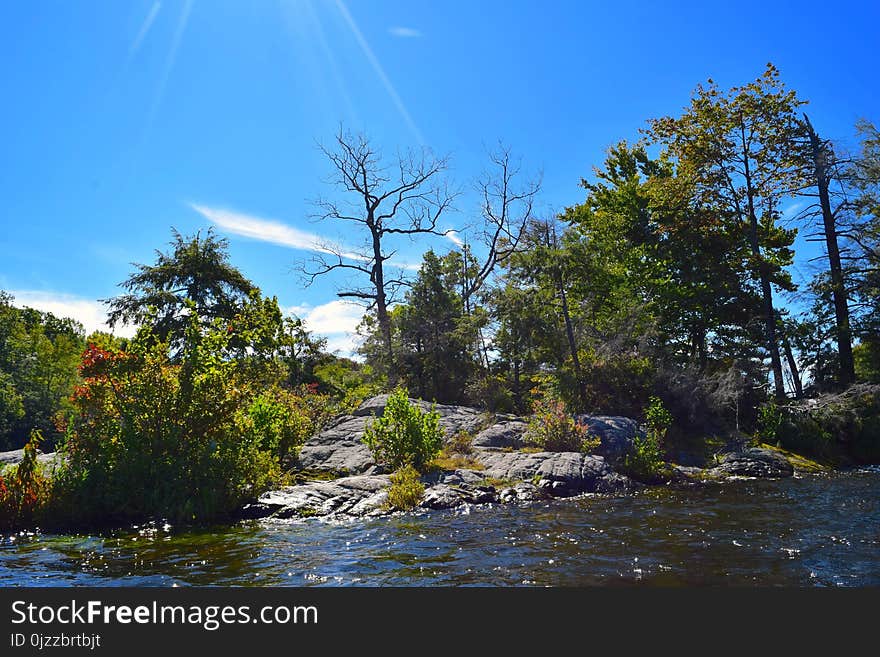 Water, Nature, Body Of Water, Tree