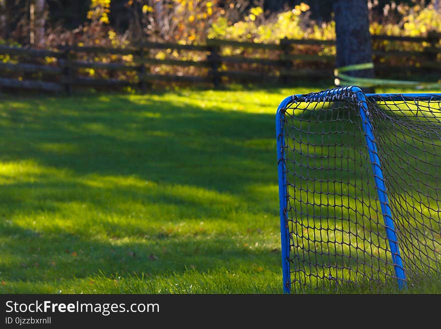 Grass, Green, Yellow, Lawn