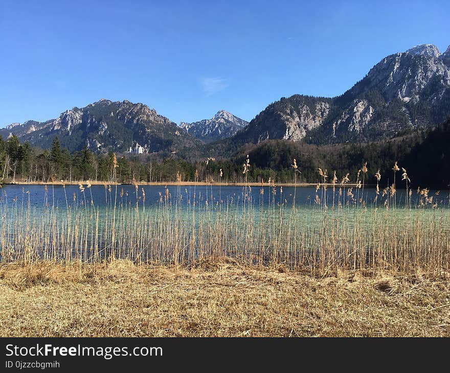 Nature, Lake, Wilderness, Mountain