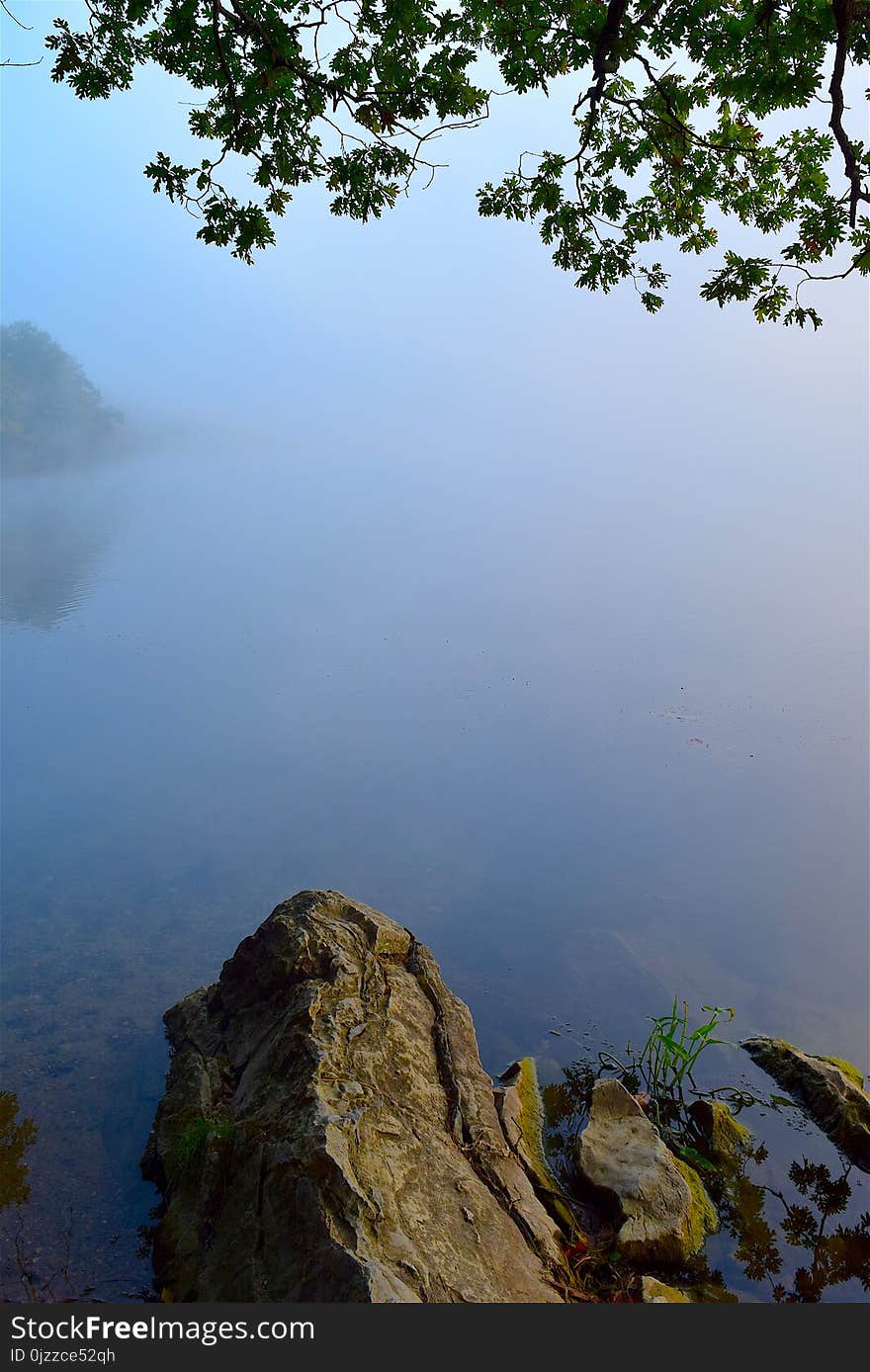 Nature, Tree, Water, Vegetation