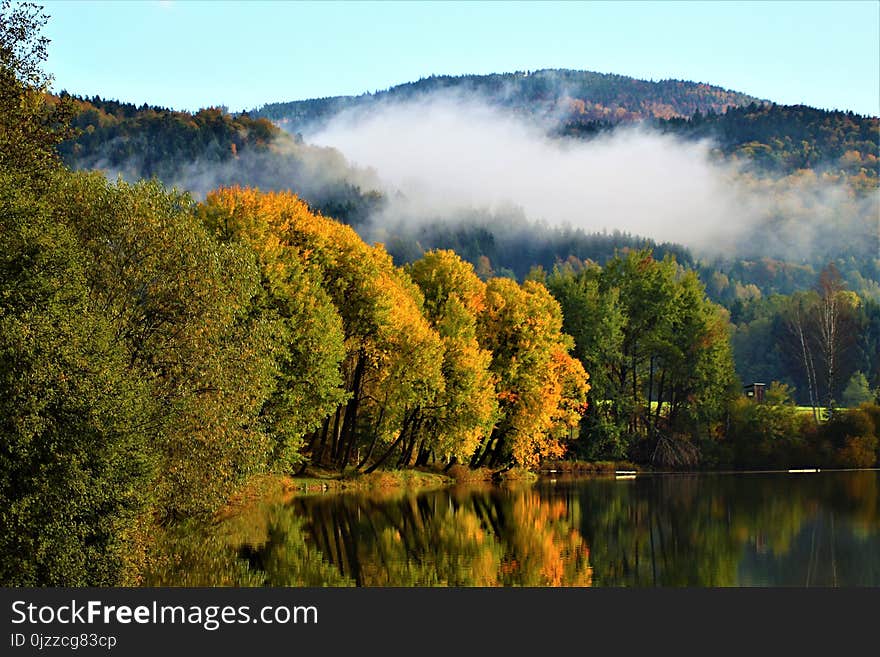 Nature, Leaf, Reflection, Wilderness