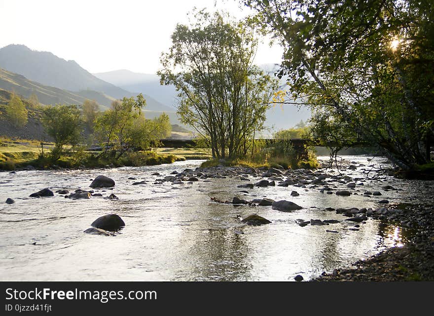 Water, Body Of Water, River, Nature Reserve