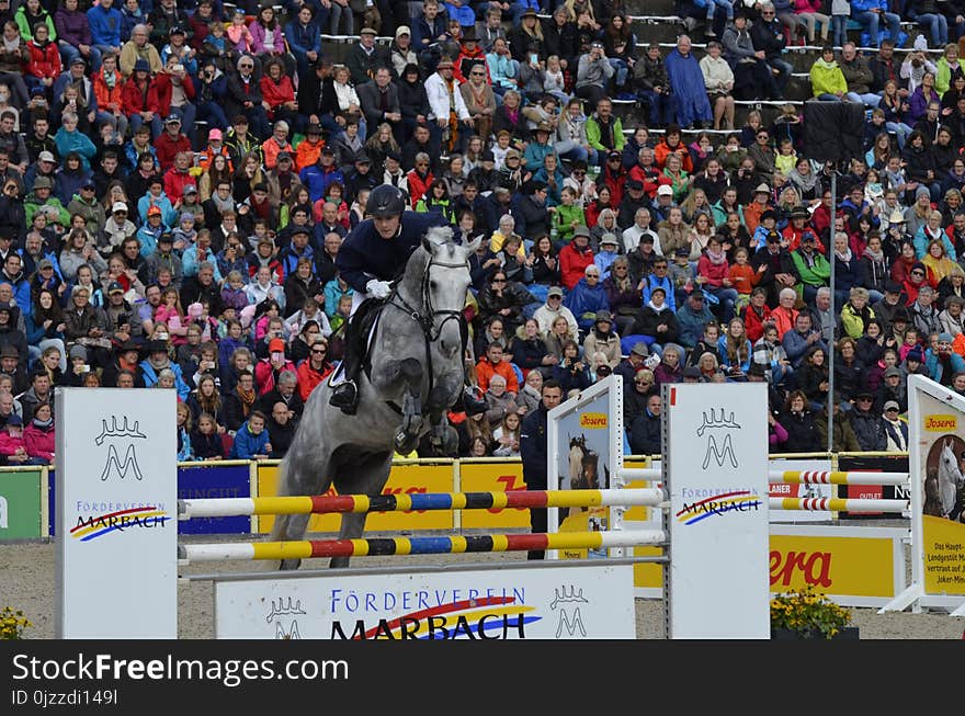 Crowd, Sport Venue, Horse Like Mammal, Competition Event