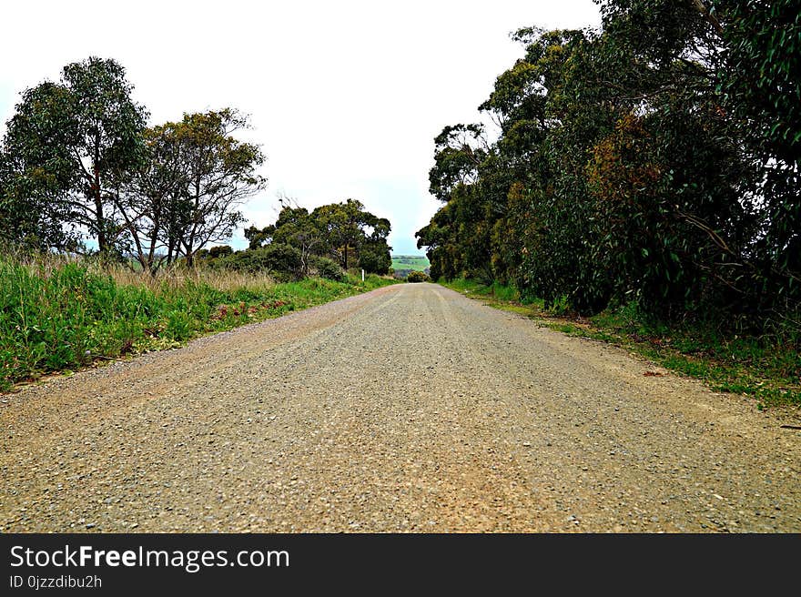 Road, Path, Sky, Tree