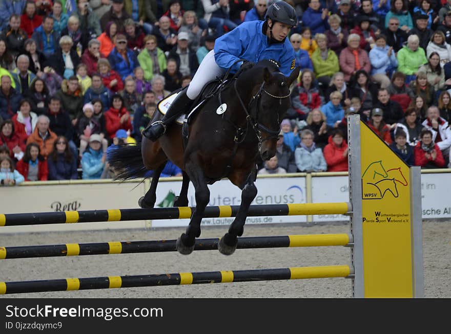 Show Jumping, English Riding, Equestrianism, Equestrian