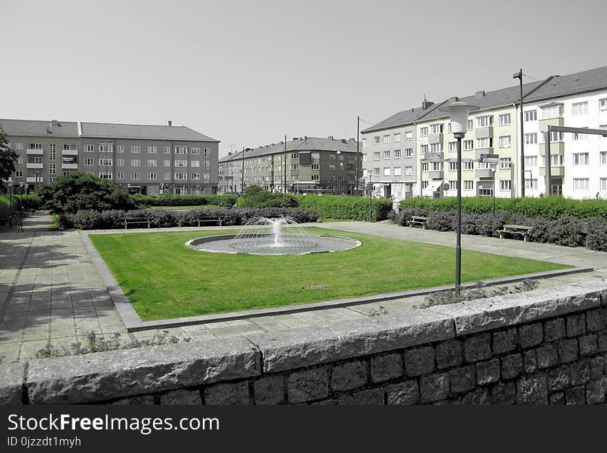 Grass, Residential Area, Neighbourhood, Campus