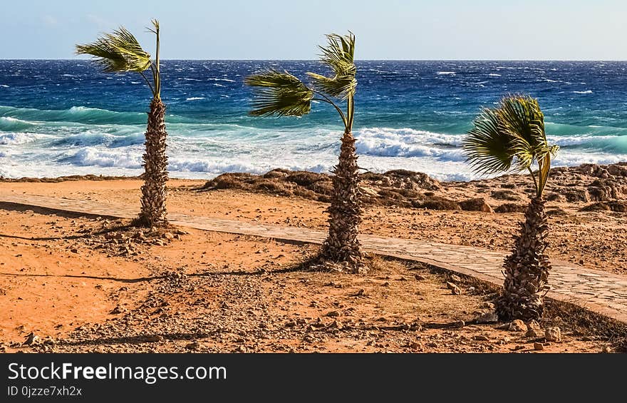 Sea, Sky, Shore, Beach