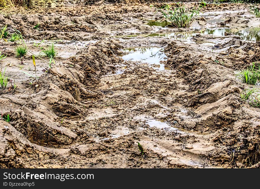 Soil, Geological Phenomenon, Mud, Grass