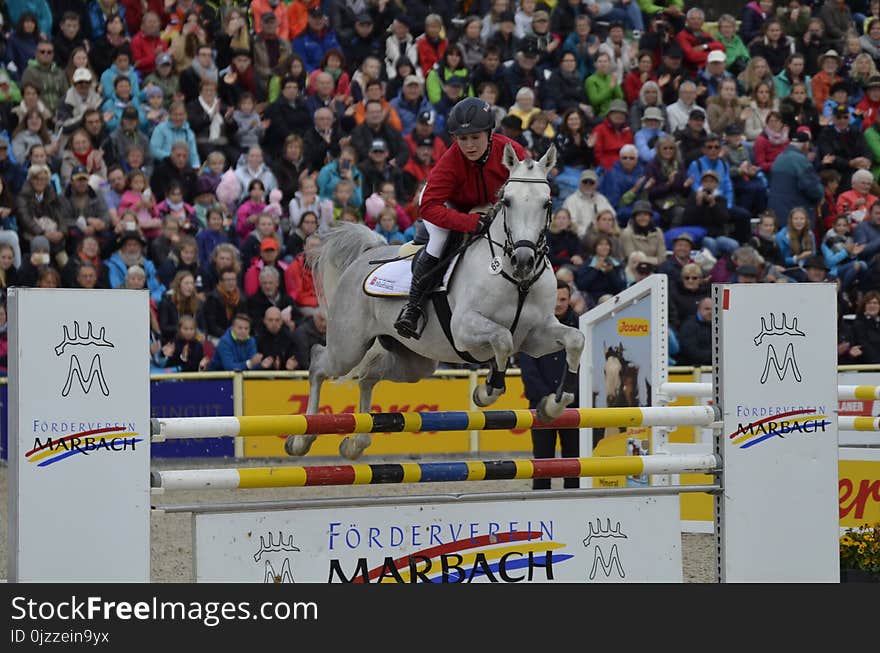 Show Jumping, Horse, Equestrian, Equestrianism