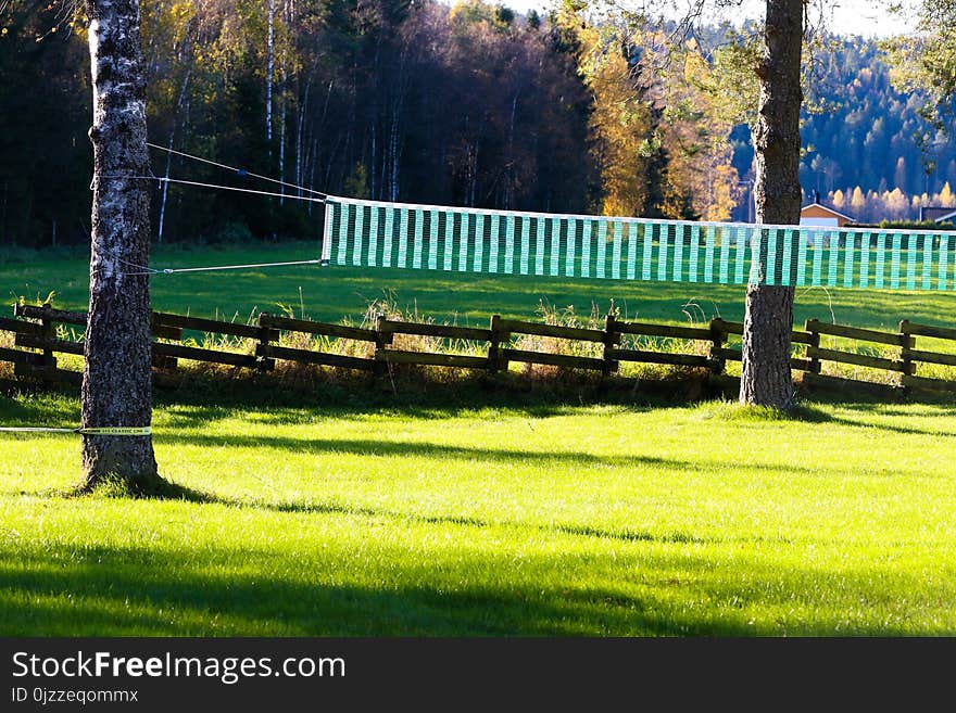 Nature, Green, Pasture, Grass