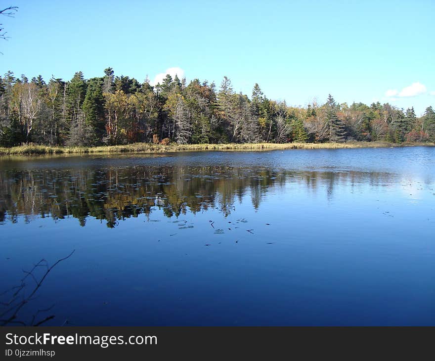 Reflection, Water, Lake, Nature