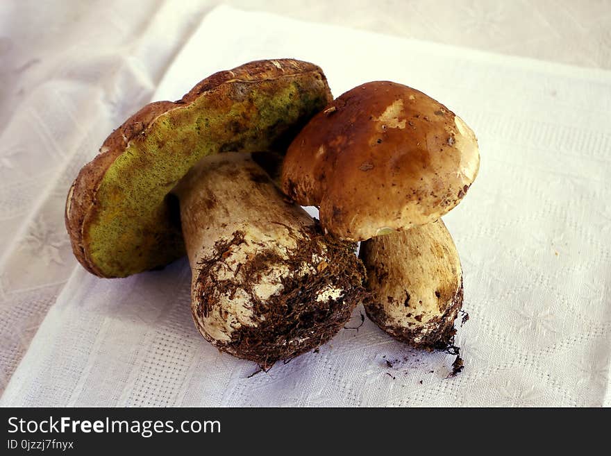 Ingredient, Matsutake