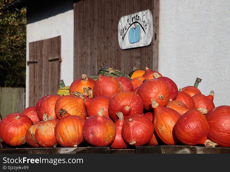 Local Food, Winter Squash, Fruit, Produce